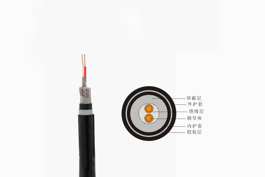 广西DJYPVP22-300/500V控制电缆