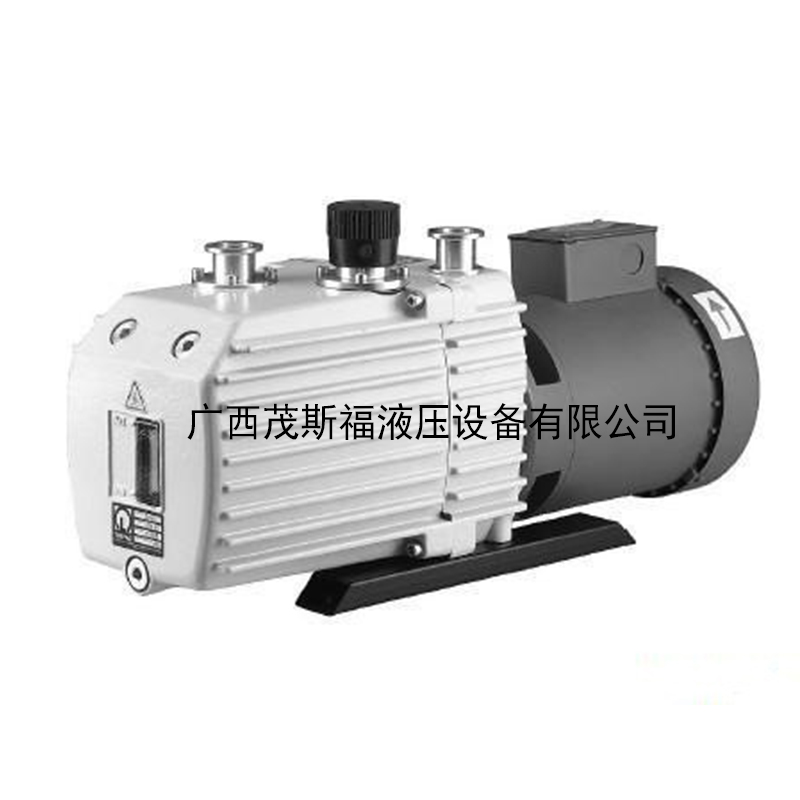 D30C双级旋片式真空泵