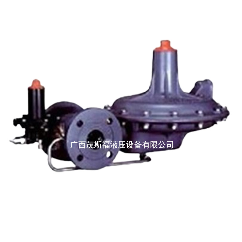 A102-AP 塔塔里尼A102-AP弹簧负载式燃气调压阀 