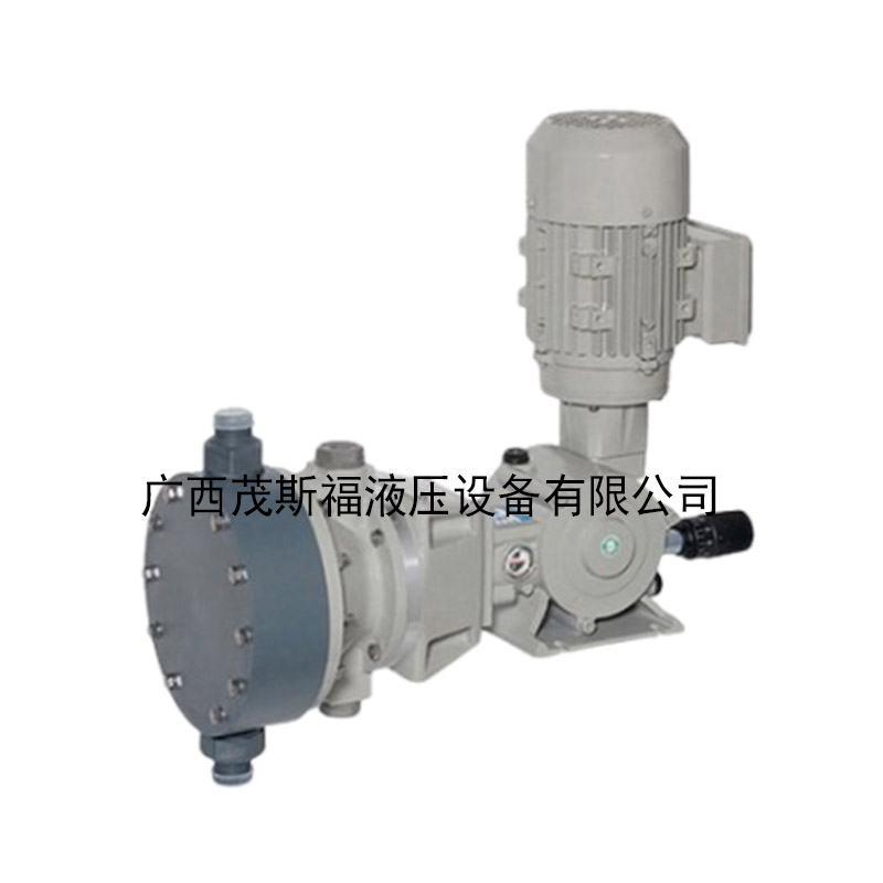 意大利道茨DOSEURO计量泵FM-50N-50B-12 